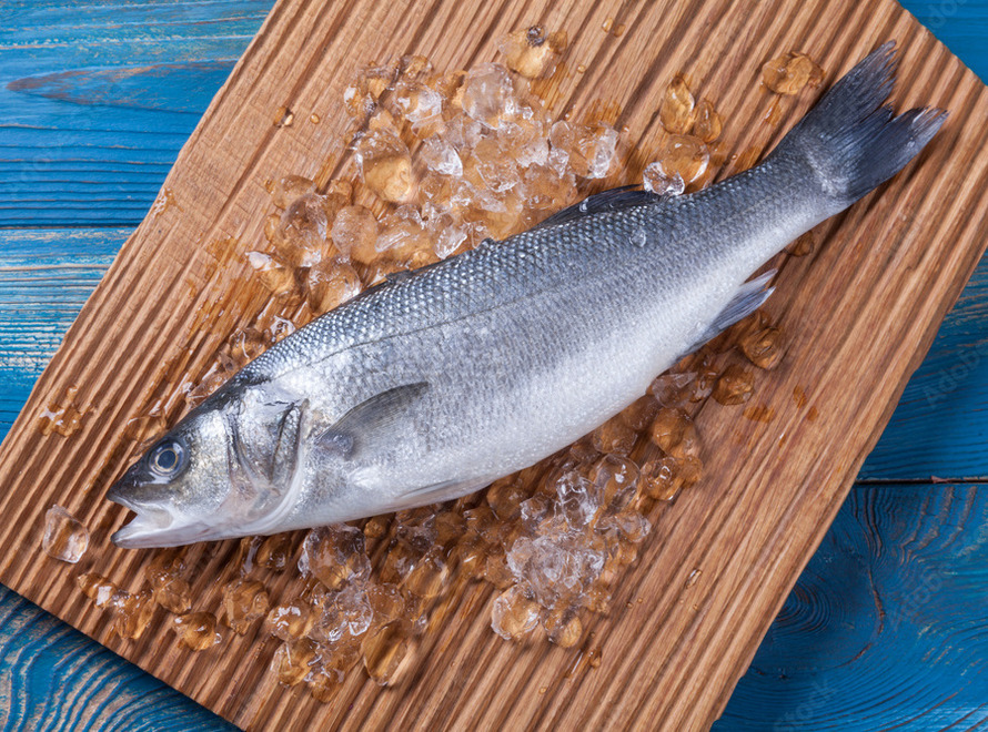 Salmon